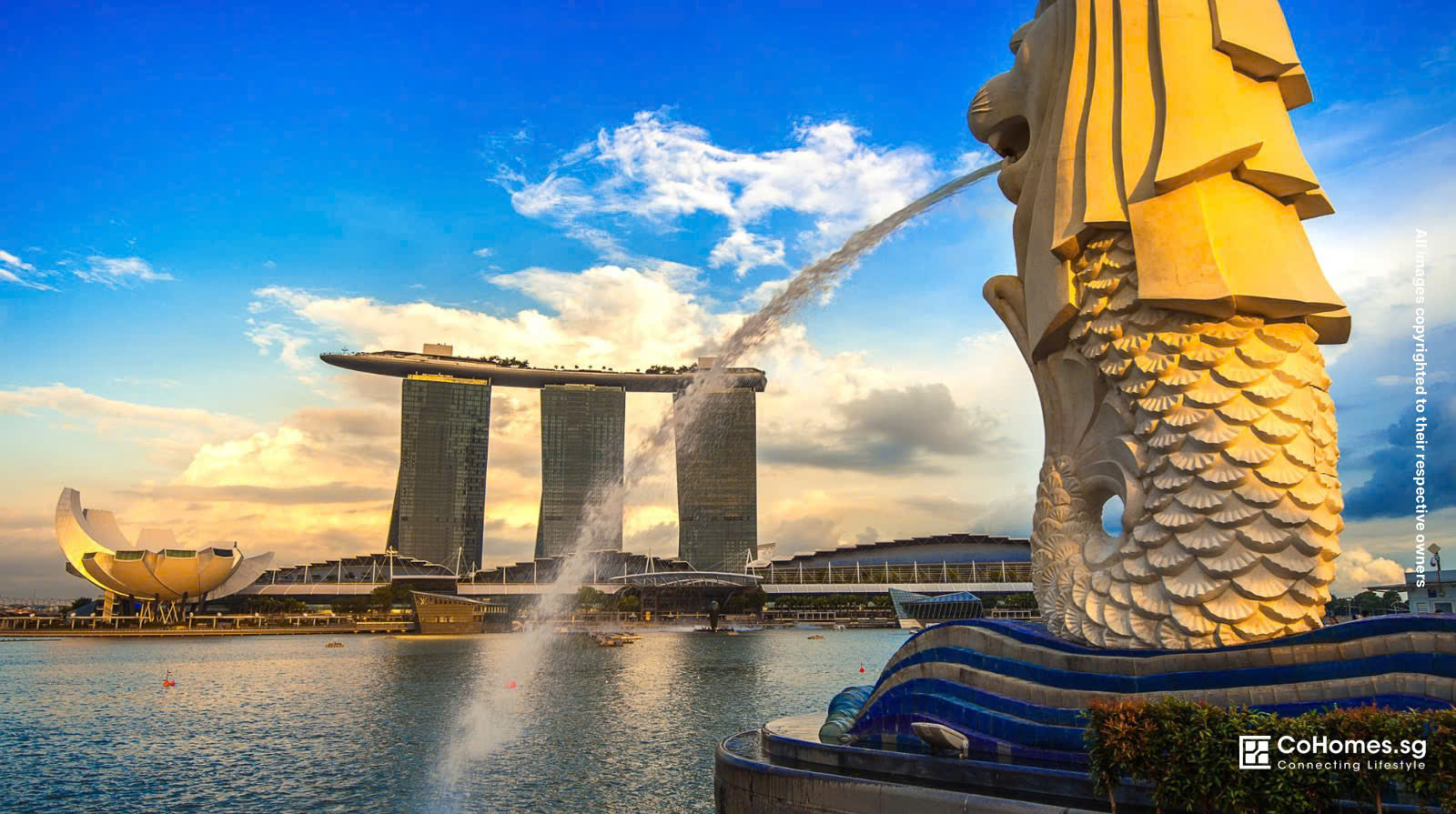 5 things to know about when living in Singapore