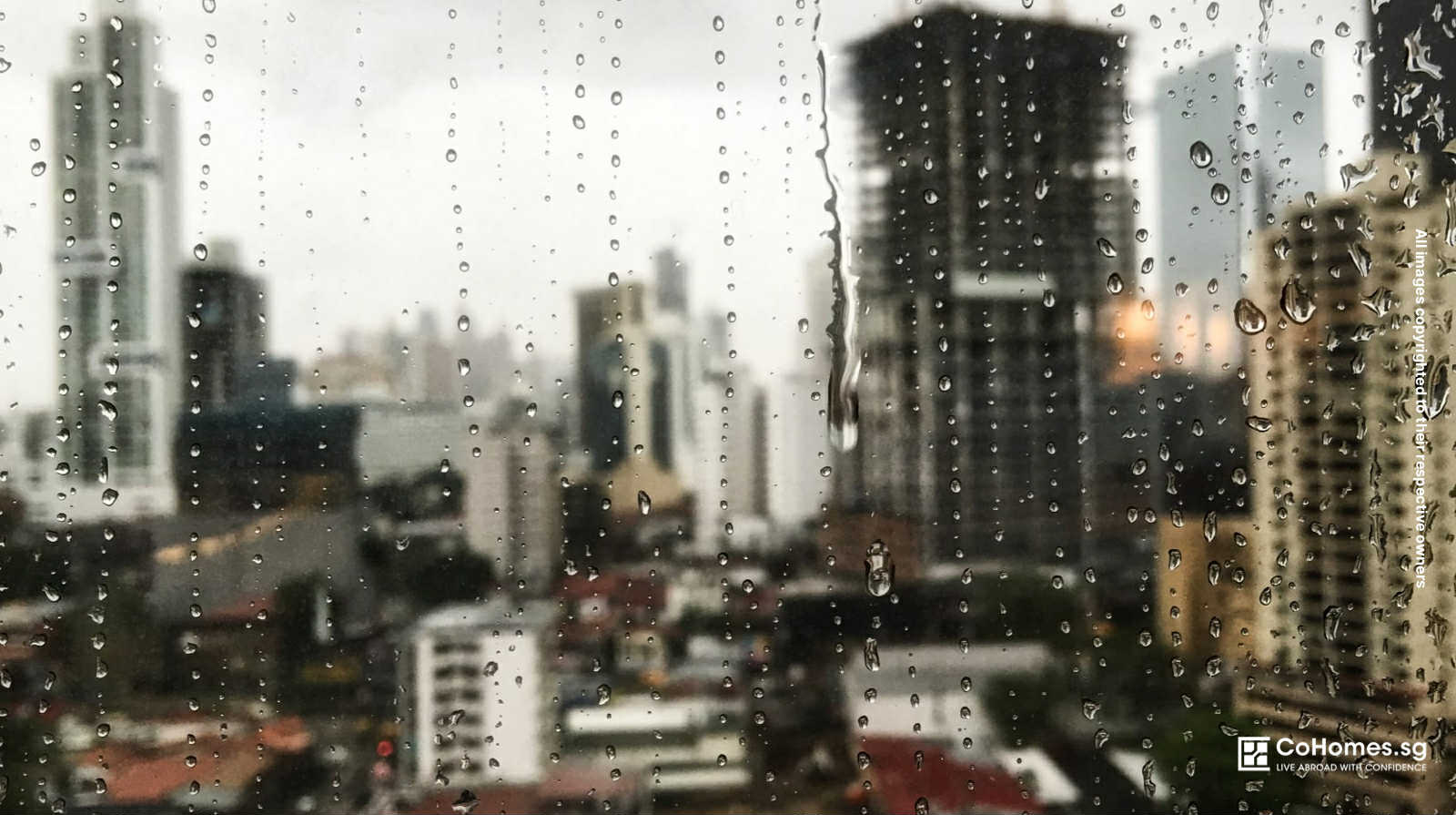 Rain, Rain, Go Away: Monsoon-Proofing Your Rental Like a Local