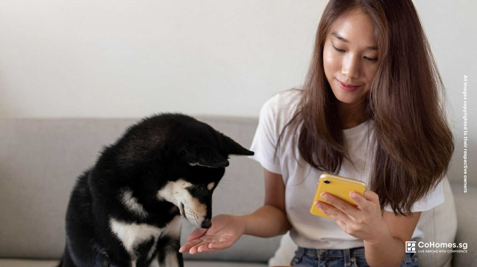 Should You Allow Pets? A Landlord’s Guide to Paw-sitive ROI
