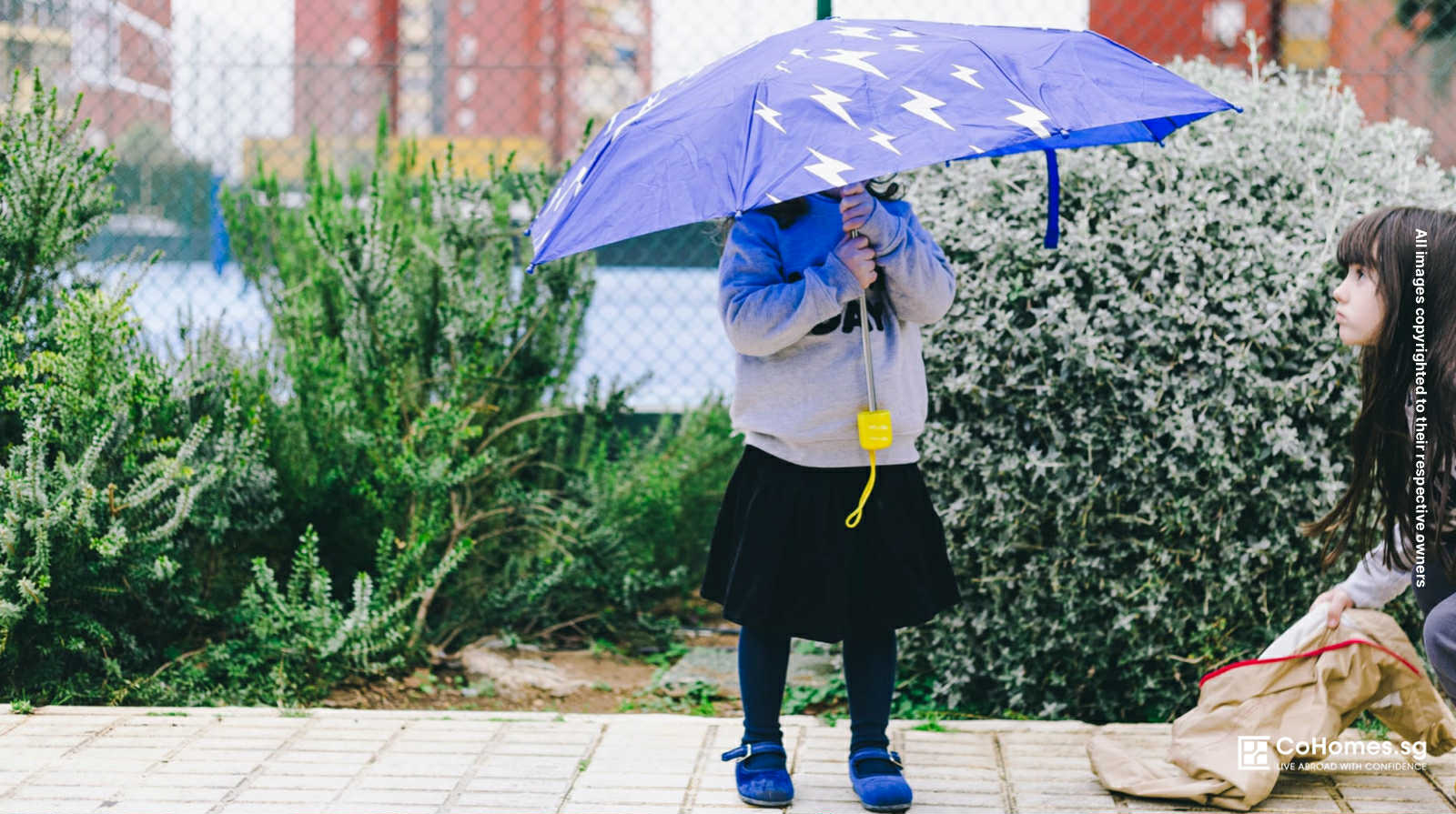 Rain-Proofing Your Home: How to Survive Singapore’s Wet Season Like a Pro