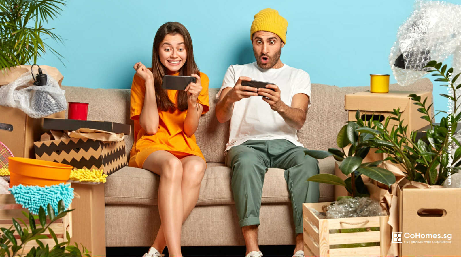 From IKEA to Taobao: Best Budget Buys for Your Rental